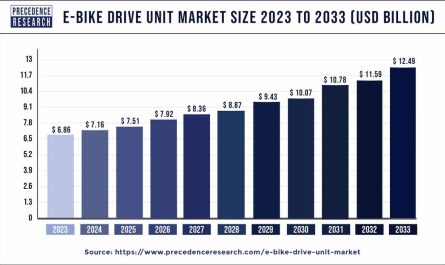 E-bike Drive Unit Market